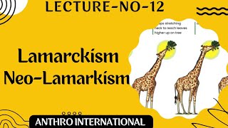 Lamarckism and Neo Lamarckism [upl. by Antony]