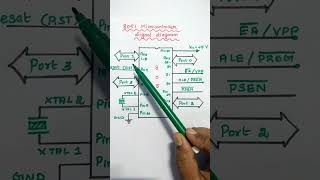 Pin Diagram of 8051 Microcontroller  8051 Signal diagram  MPMC [upl. by Leahcar54]