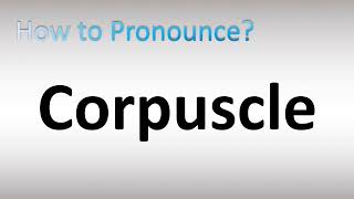 How to Pronounce Corpuscle [upl. by Nylecsoj]