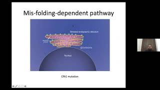 WEBINAR IV MANAGEMENT OF CHRONIC PANCREATITIS [upl. by Horne703]