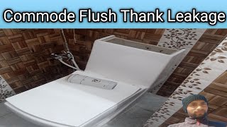 Commode flush repair  Commode Flush Tank Leakage  Cistern Repair [upl. by Egdamlat]