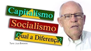 Qual a Diferença entre Capitalismo e Socialismo [upl. by Wohlen]