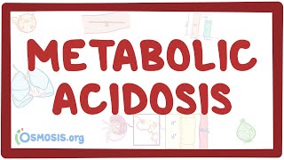 Metabolic acidosis  causes symptoms diagnosis treatment pathology [upl. by Nylzor]