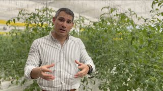 A tour of a CEA Greenhouse Farm with hydroponics and soilbased agriculture [upl. by Sorcha381]