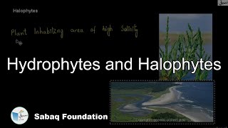 Hydrophytes and Halophytes Biology Lecture  Sabaqpk [upl. by Sutton]