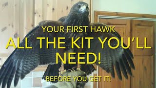 FALCONRY All the kit you need for your first hawk Harris hawk redtail  lanner and others [upl. by Klingel475]