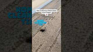 How To Remove Black Stains From Carpet carpetstain homecleaning handyman stain carpetcleaning [upl. by Diba]