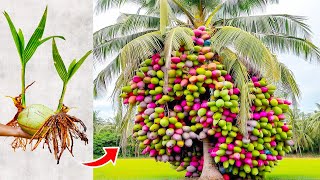 20 Most Unique Fruits Youve Never Heard Of [upl. by Keane]