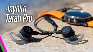 Jaybird Tarah Pro Premium Sport Headphones Review vs X4 [upl. by Yseulte]