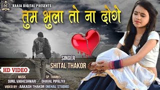 Shital Thakor  Mere Pyaar Ko Tum Bhula To Na Donge  Love Song  Hd Video [upl. by Monroe608]