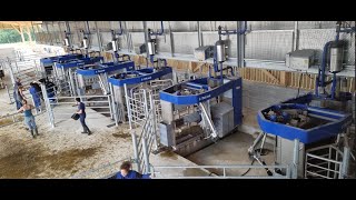 Mise en route de 6 robots de traite VMS V310 en système Batch Milking [upl. by Tricia414]