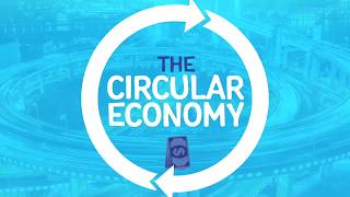 Explainer The Circular Economy [upl. by Grane]