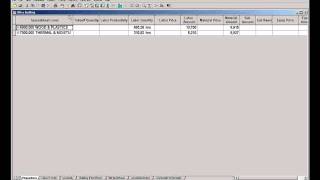 Sage Estimating Video 22 Minimizing Overline Columns Pervasive Legacy [upl. by Irtak491]