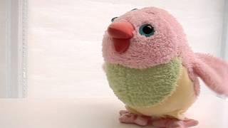 FisherPrice  3rd amp Bird  Talking Muffin [upl. by Dickie]