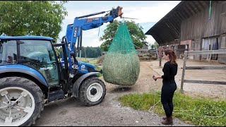 Heurundballen für den Reitstall Wellberg 🇨🇭🐎 vom Feld bis zu den Pferden [upl. by Rehsu]