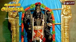 Sri Dhanvantri Bhagavan Temple Wallajapet  Aalayangal Arputhangal  25082016  Puthuyugam TV [upl. by Mandler32]