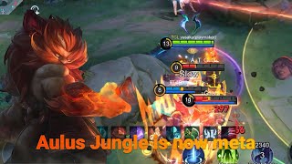 is aulus jungle is meta [upl. by Quince]