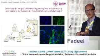 Graphene Oxide Interactions with Innate Immune Cells [upl. by Ojeitak875]