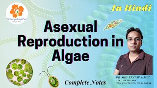 Asexual Reproduction in Algae  Zoospores  Aplanospores  Hypnospores  Akinetes  Hyterocyst [upl. by Seuqramed]