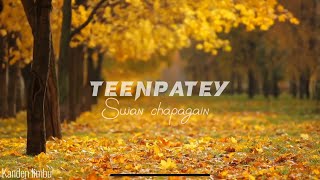 Teenpatey — cover song by Kanden limbu  Indo paranoid session  FtDipesh magar [upl. by Aneeb]