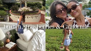 VLOG  girls day strawberry picking amp a bit of San Francisco [upl. by Towne]