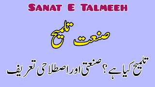 Sanat E Talmeeh Ki Tareef  Sanat E Talmeeh With Exmples  Urdu Grammar  2025 [upl. by Esinehc]