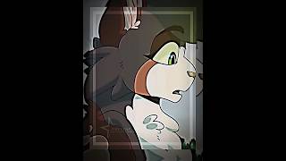 Tawnyslay edit Weeeeeeell idk… warriorcats capcut tawnypelt [upl. by Annay971]