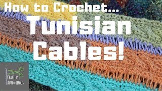 How to Tunisian Crochet Cables  Clear Tutorial  TuTu Ep 55 [upl. by Bobbye912]