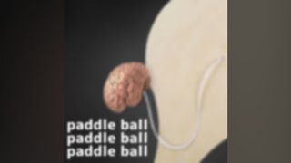 Pennyorsomething  Paddle Ball [upl. by Nottnerb]