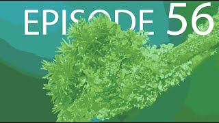 Episode 56  Bryophytes [upl. by Male]