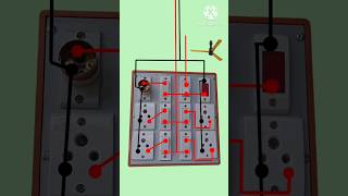 Electrical board wiring socket fan shorts shortsfeed shortvideo youtubeshorts [upl. by Anirad]