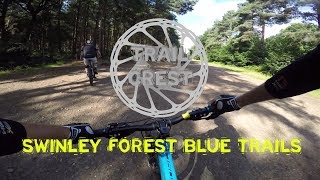 Swinley Forest  Blue Trail Highlights [upl. by Pitts]