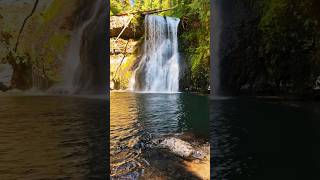 Upper North Falls Silver Falls State Park Oregon Summer Season shorts [upl. by Chu]