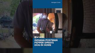 Indiana postman caught on video pepper spraying dog through mail slot in door [upl. by Cleodell]