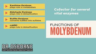 Discover How Molybdenum Affects Your Bodys Metabolism [upl. by Feodora]