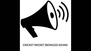 cricket wicket Bowled sound For Cricket video editors❤️ [upl. by Neelyhtak815]