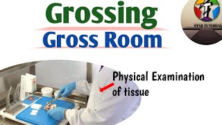 Grossing And Gross Room ll Histopathology in Hindi [upl. by Lamee]