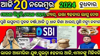 todays morning news odisha20 november 2024subhadra yojana online registrationodisha news today [upl. by Ijan]