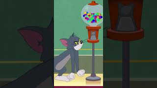 No Bubble Gum for Tom  Tom and Jerry  Watch more on Cartoonito Africa Shorts [upl. by Zetana241]