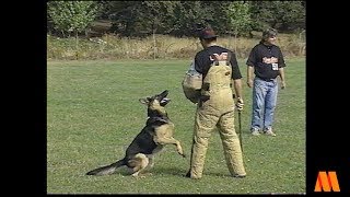 A 50Films Project • Rose City Working Dog Schutzhund Competition • 1996 [upl. by Ellerred]