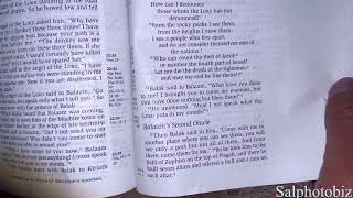 Bible Reading Old Testament Numbers 23 pentateuch [upl. by Gilson]