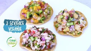 🍋 CEVICHES FÁCILES Y LIGEROS  Comer Vegano [upl. by Piscatelli]