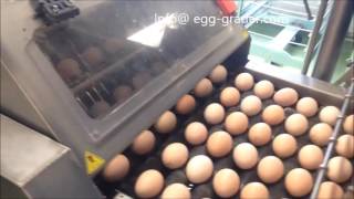 For sale Egggrading line Prinzen egg grader with eggpackers 2005 [upl. by Aleahs]