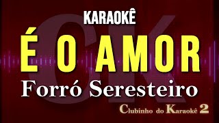 Forró Seresteiro  É o amor  Karaokê FL [upl. by Otsirave10]