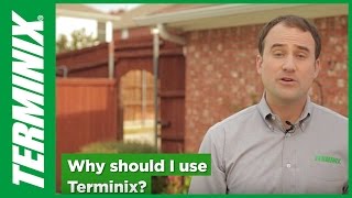 Protect Home From Termites  Why Choose Terminix [upl. by Cole]