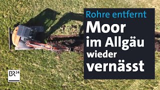 Natur und Klimaschutz Allgäuer Moore werden wieder vernässt  Abendschau  BR24 [upl. by Newkirk648]