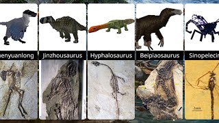 MINECRAFT dinosaurs VS real fossils comparison Jehol Dynasty addon [upl. by Enaud]