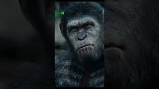 EVOLVED APES Show STRENGTH to HUMANS dawnoftheplanetoftheapes movierecaps movieclips moviereview [upl. by Nommad]