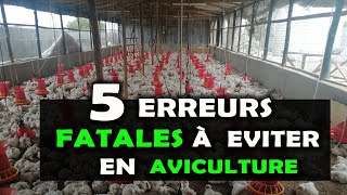 AVICULTURE Voici 5 Erreurs à éviter avant de se lancer dans lélevage de poulet Chair ou Pondeuse [upl. by Salvidor109]