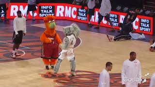 Basketball Mascot dancing Salsa [upl. by Surazal]